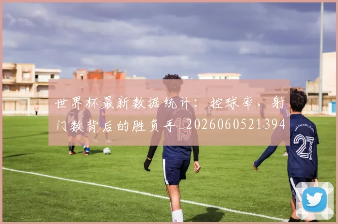 世界杯最新数据统计:控球率、射门数背后的胜负手_20260605213941