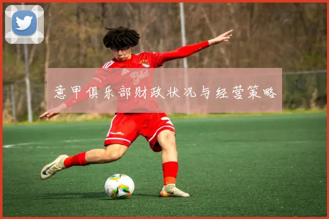 意甲俱乐部财政状况与经营策略