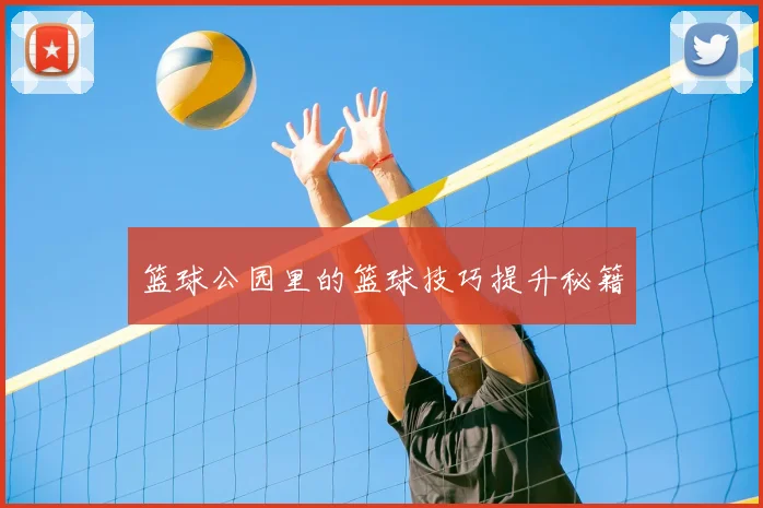 篮球公园里的篮球技巧提升秘籍